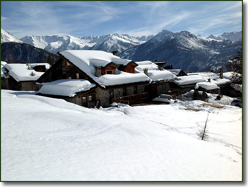 Snowy landscape