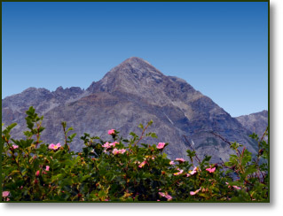 Panorama dal giardino dell’agriturismo Il Fiocco