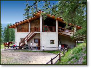 Il maneggio, dista 300m dall’agriturismo Il maneggio, dista 300m dall’agriturismo